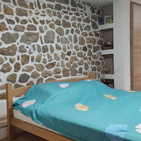 Guest House Stevovski Elshani Εξωτερικό φωτογραφία