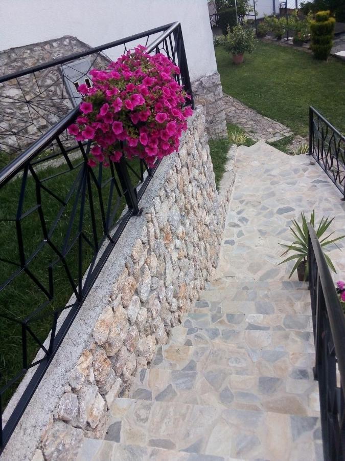Guest House Stevovski Elshani Εξωτερικό φωτογραφία