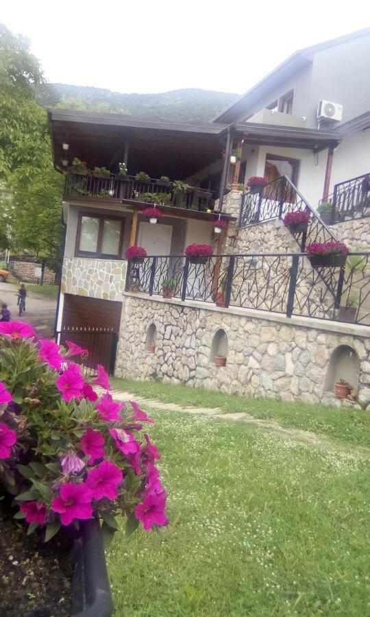 Guest House Stevovski Elshani Εξωτερικό φωτογραφία