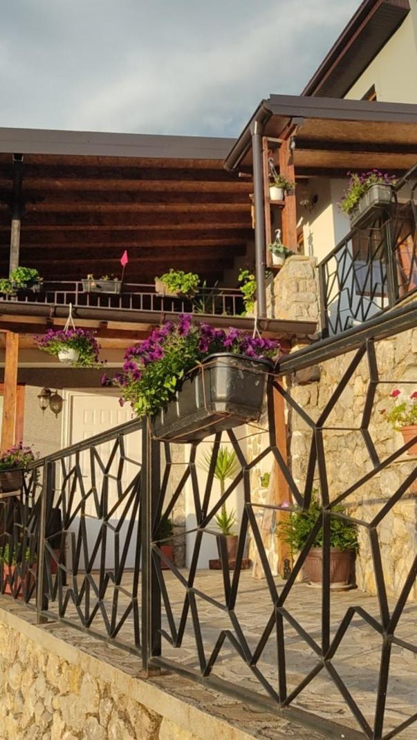 Guest House Stevovski Elshani Εξωτερικό φωτογραφία