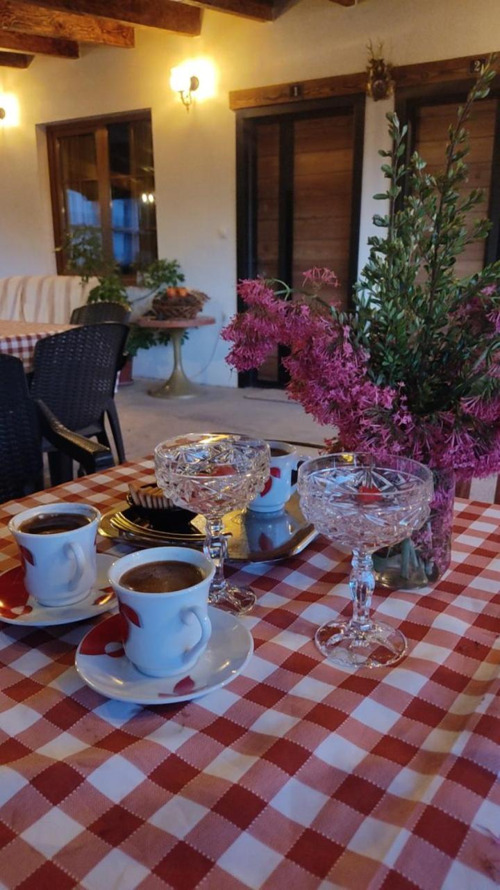 Guest House Stevovski Elshani Εξωτερικό φωτογραφία