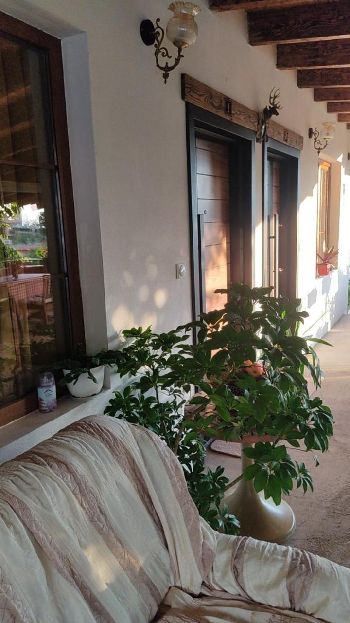 Guest House Stevovski Elshani Εξωτερικό φωτογραφία