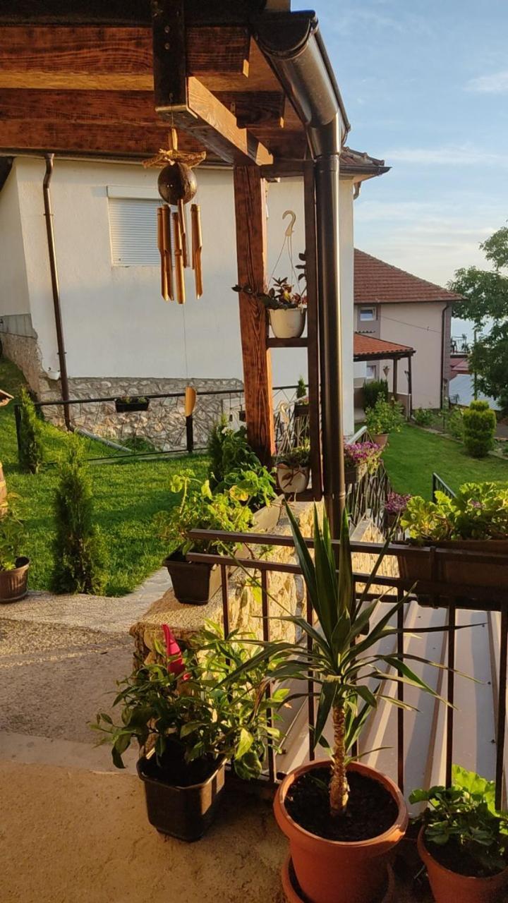 Guest House Stevovski Elshani Εξωτερικό φωτογραφία
